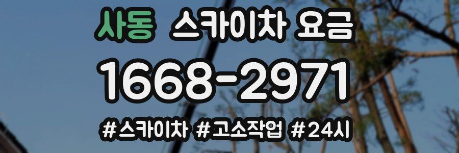 사동 스카이차 요금