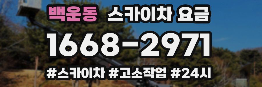 백운동 스카이차 요금