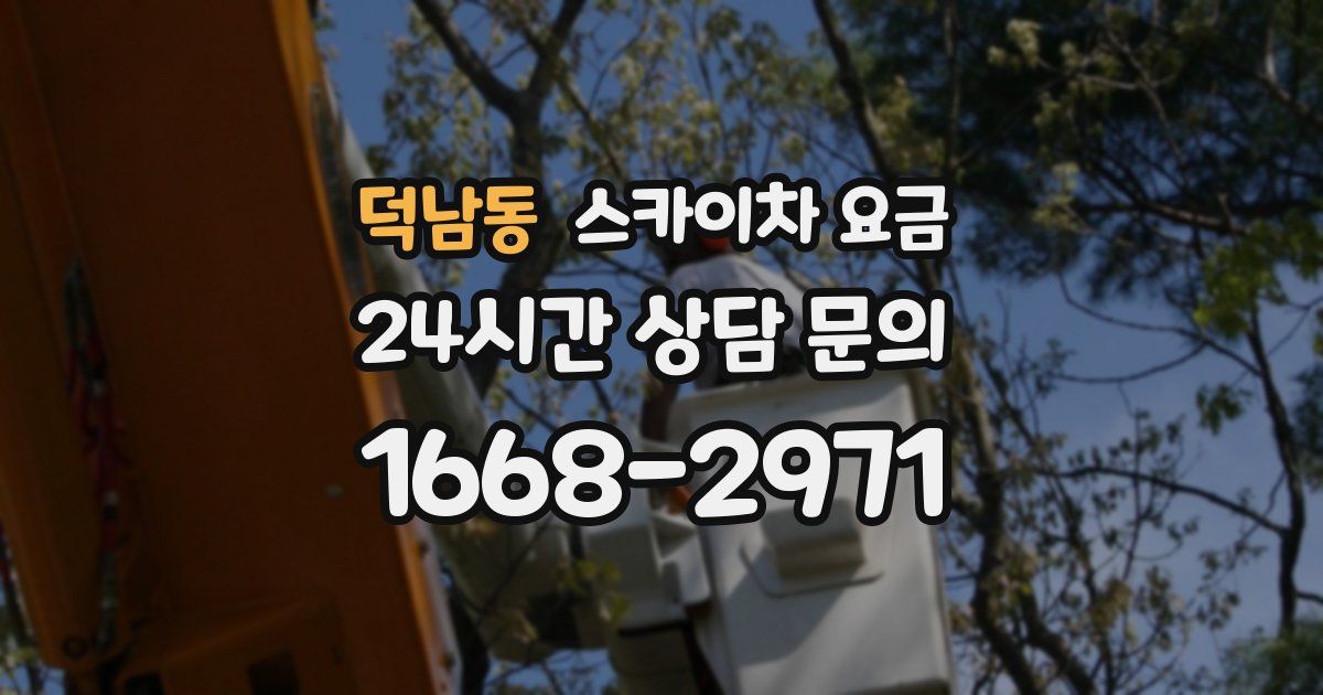 덕남동 스카이차 요금