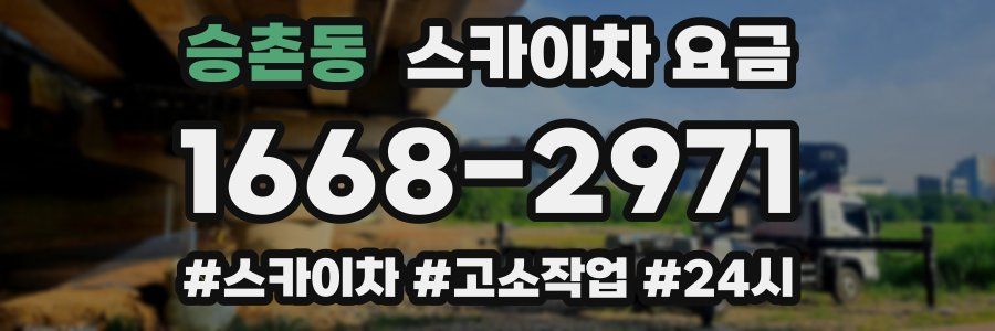 승촌동 스카이차 요금