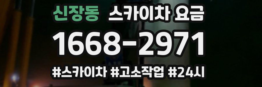 신장동 스카이차 요금