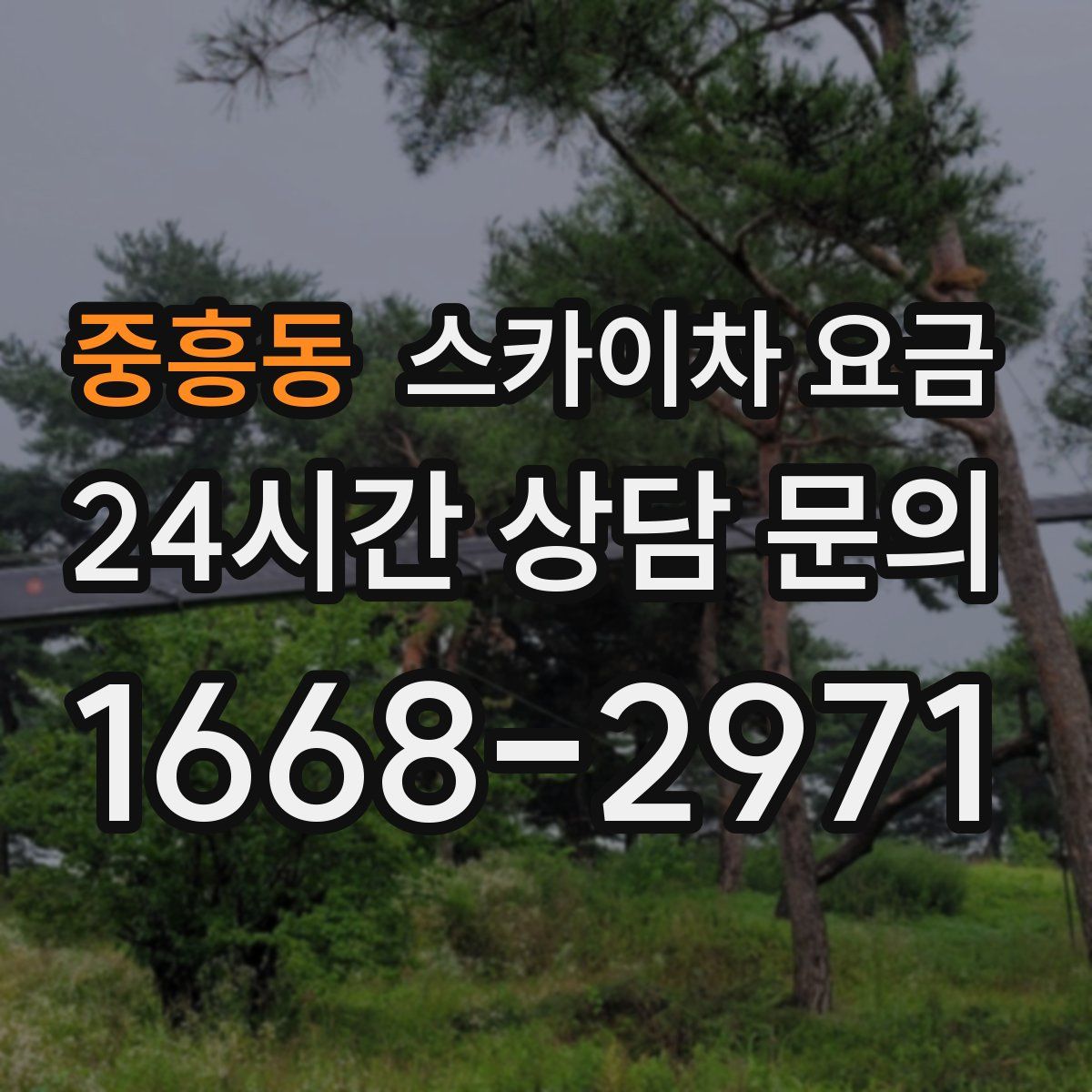 중흥동 스카이차 요금