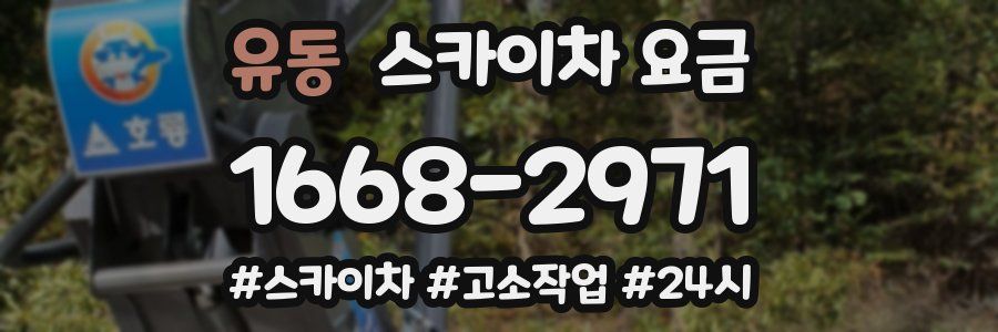 유동 스카이차 요금