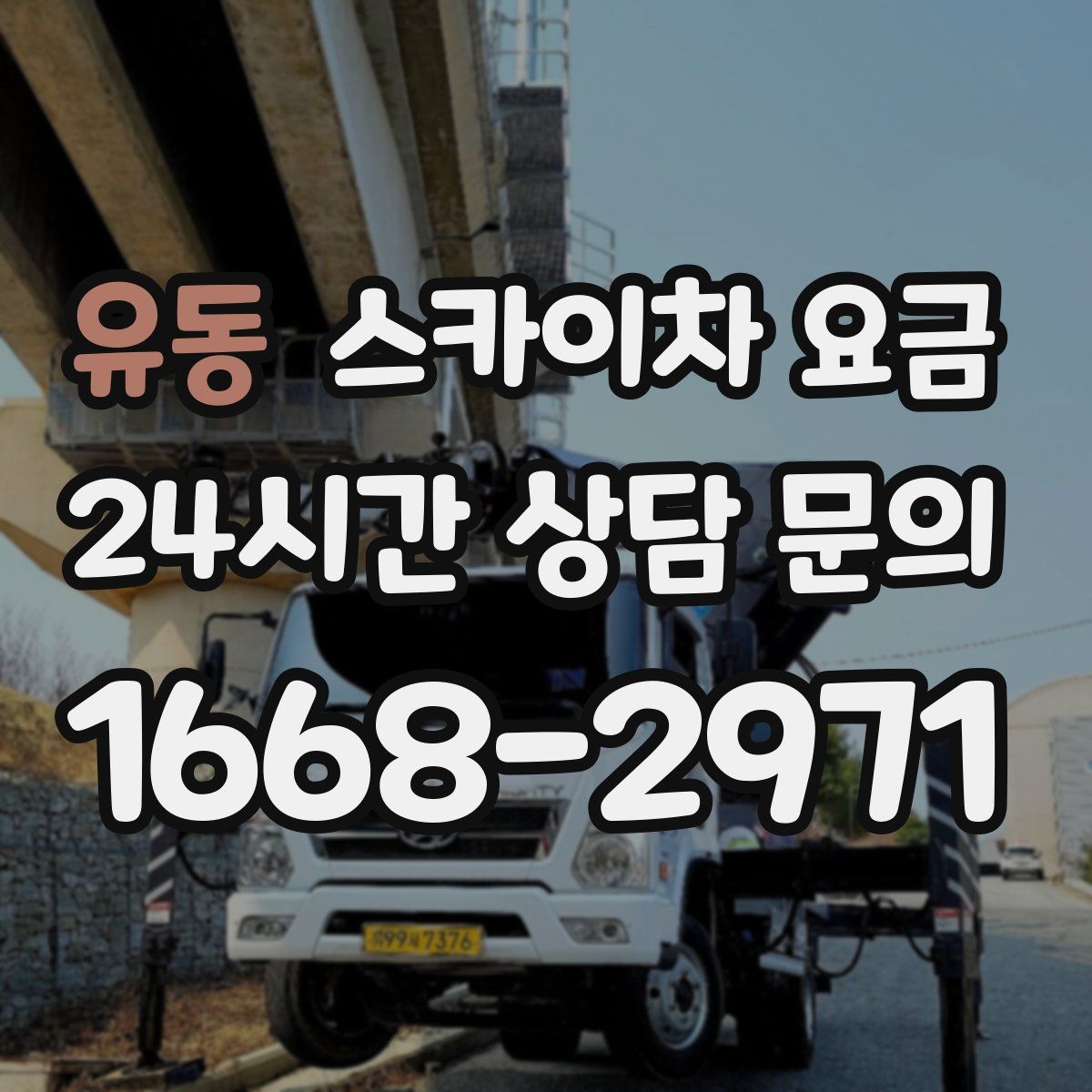 유동 스카이차 요금