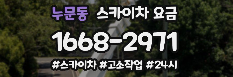 누문동 스카이차 요금