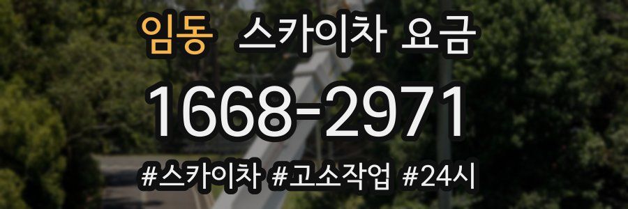 임동 스카이차 요금