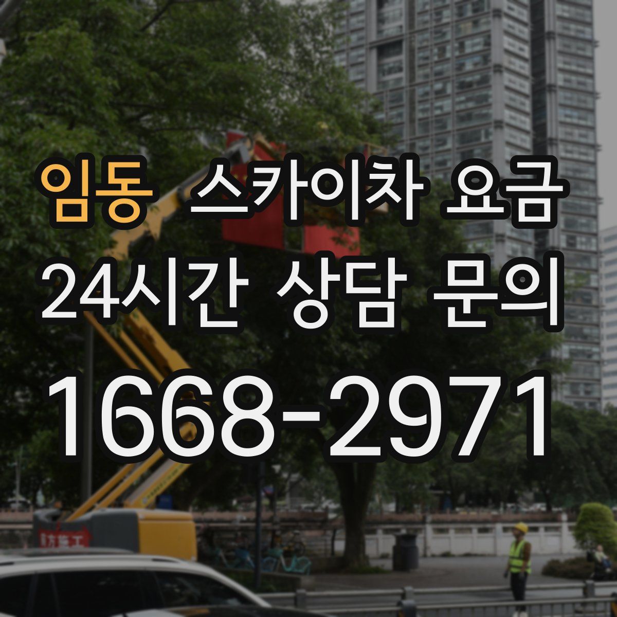 임동 스카이차 요금
