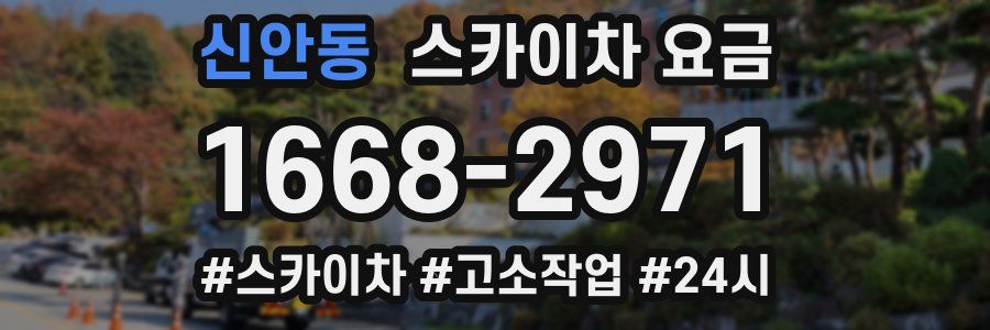 신안동 스카이차 요금