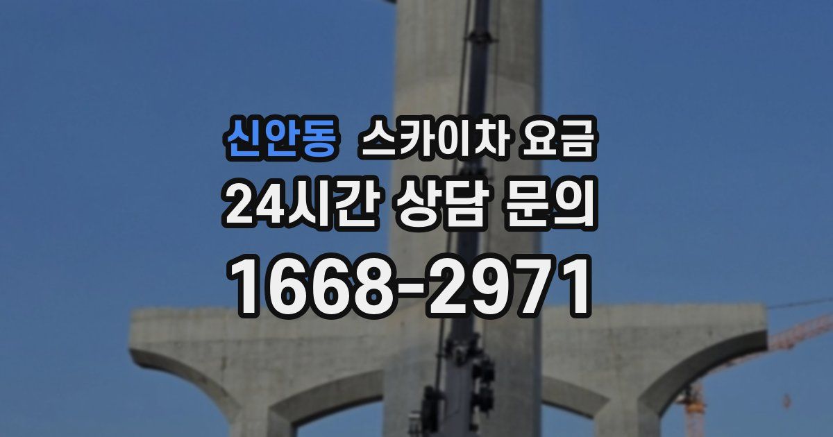 신안동 스카이차 요금