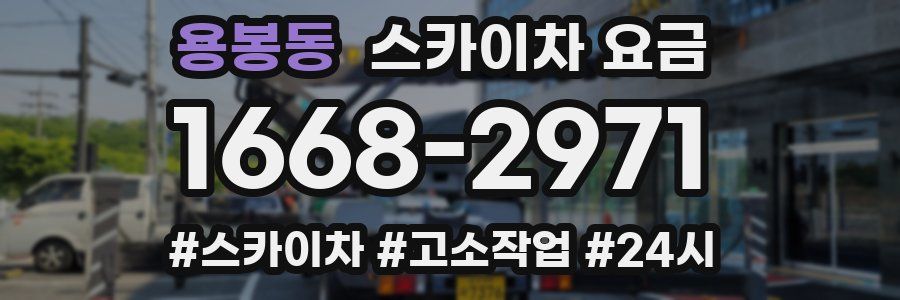 용봉동 스카이차 요금