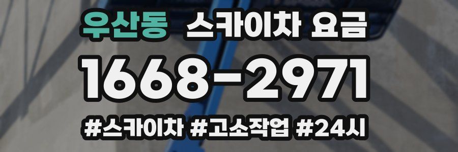 우산동 스카이차 요금