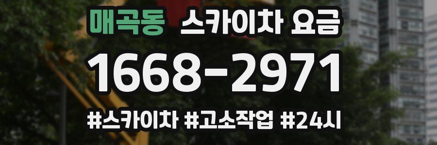 매곡동 스카이차 요금