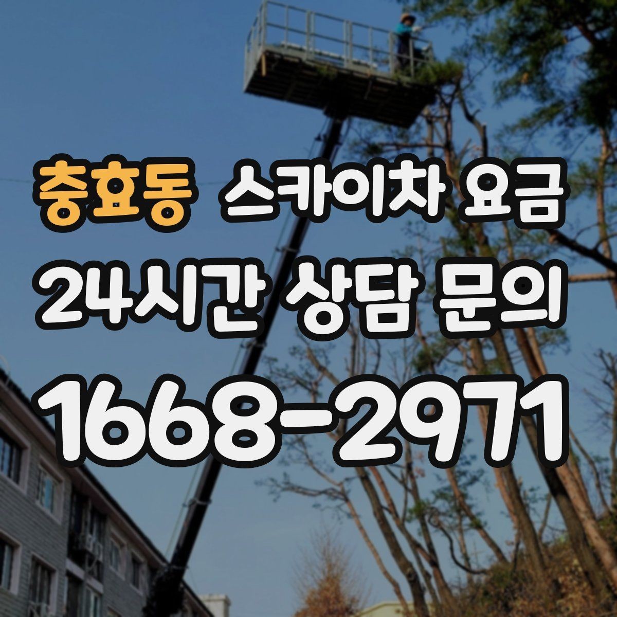 충효동 스카이차 요금 외벽 크랙 점검만 하는 경우 비용 포인트
