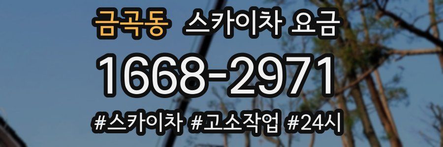 금곡동 스카이차 요금