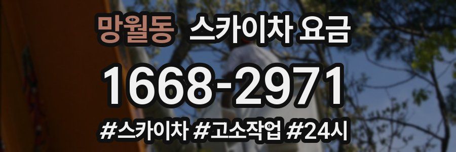 망월동 스카이차 요금