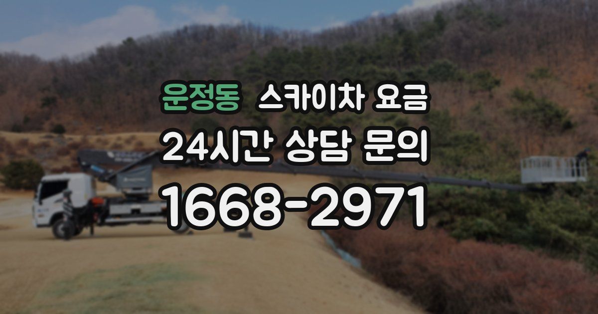 운정동 스카이차 요금