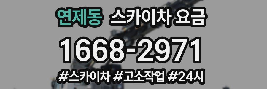 연제동 스카이차 요금
