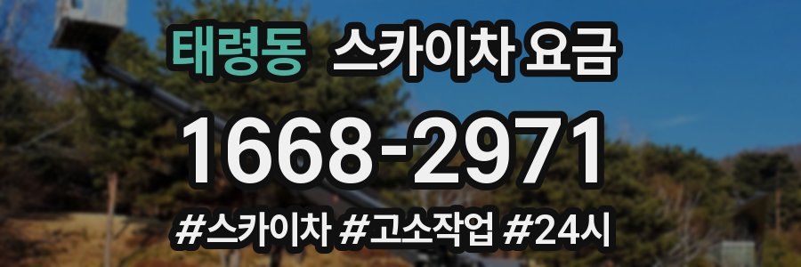 태령동 스카이차 요금