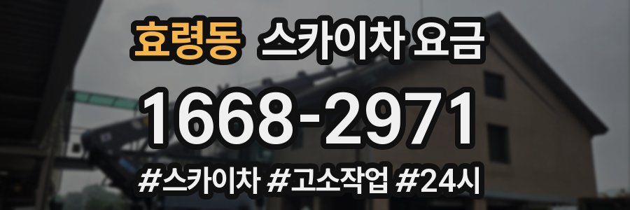 효령동 스카이차 요금