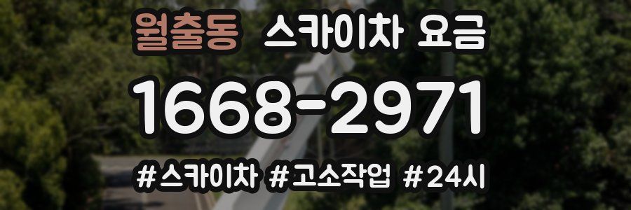 월출동 스카이차 요금