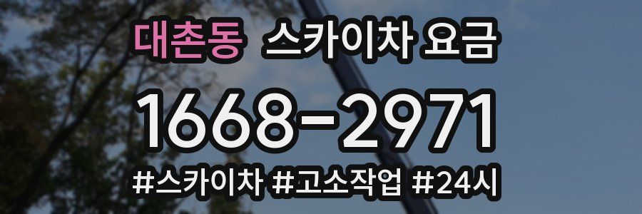대촌동 스카이차 요금