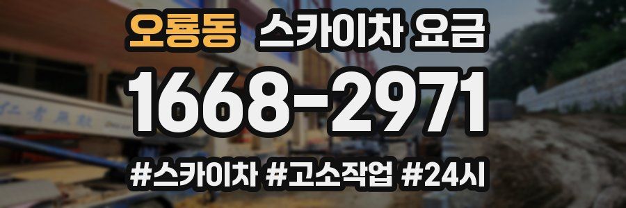 오룡동 스카이차 요금
