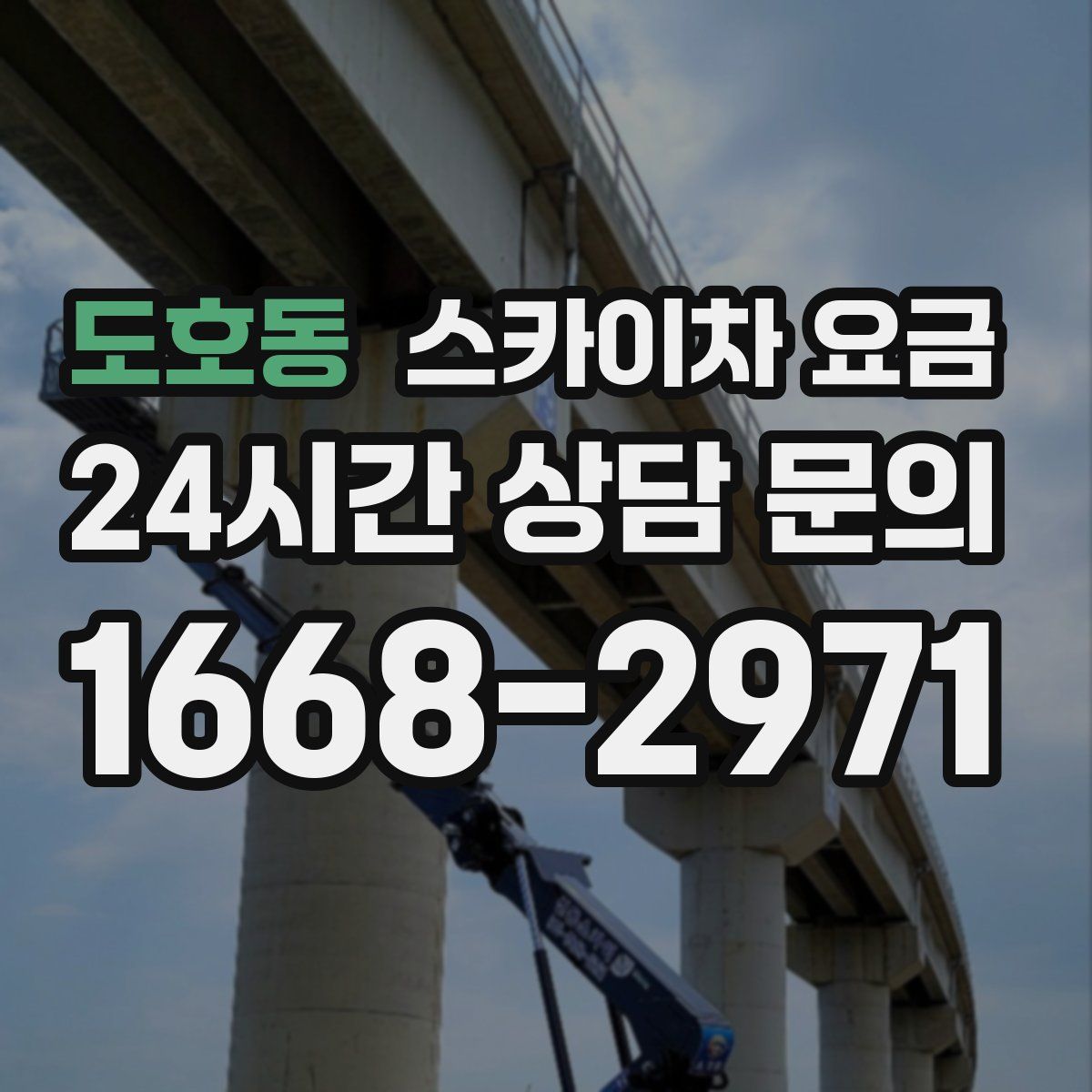 도호동 스카이차 요금