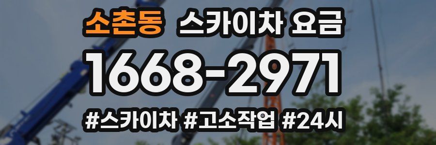 소촌동 스카이차 요금
