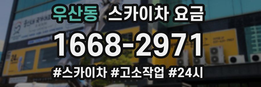 우산동 스카이차 요금