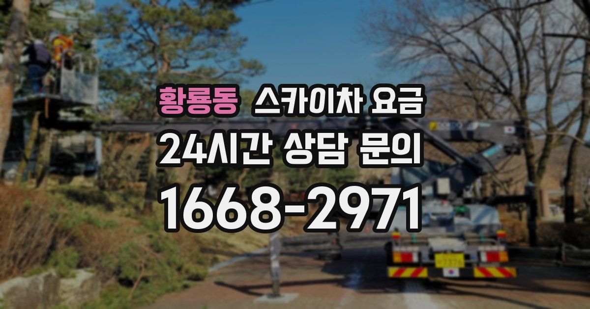 황룡동 스카이차 요금