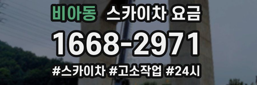 비아동 스카이차 요금