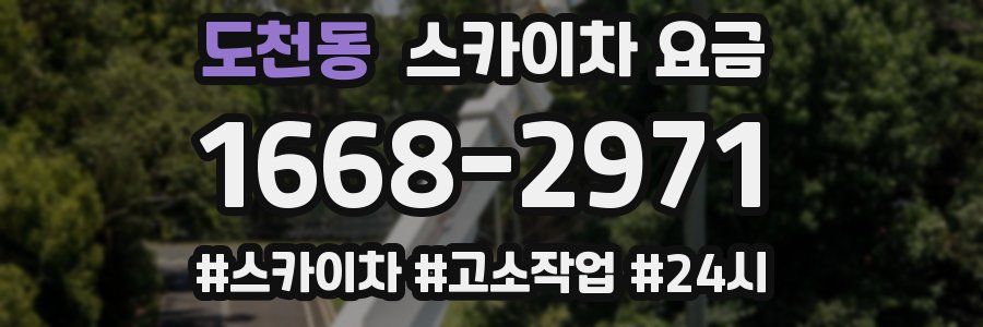 도천동 스카이차 요금