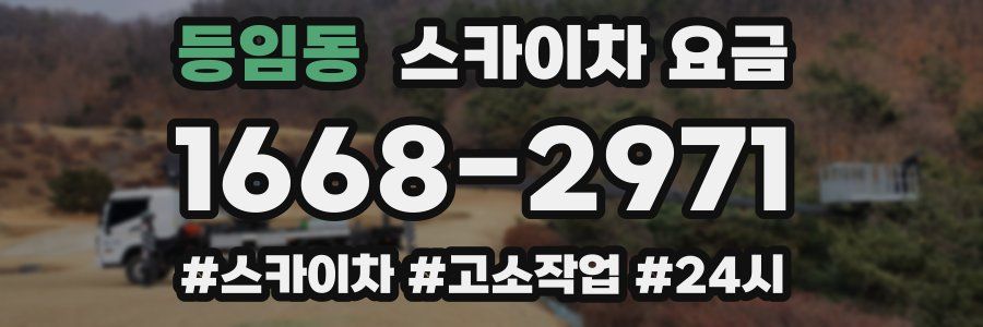 등임동 스카이차 요금