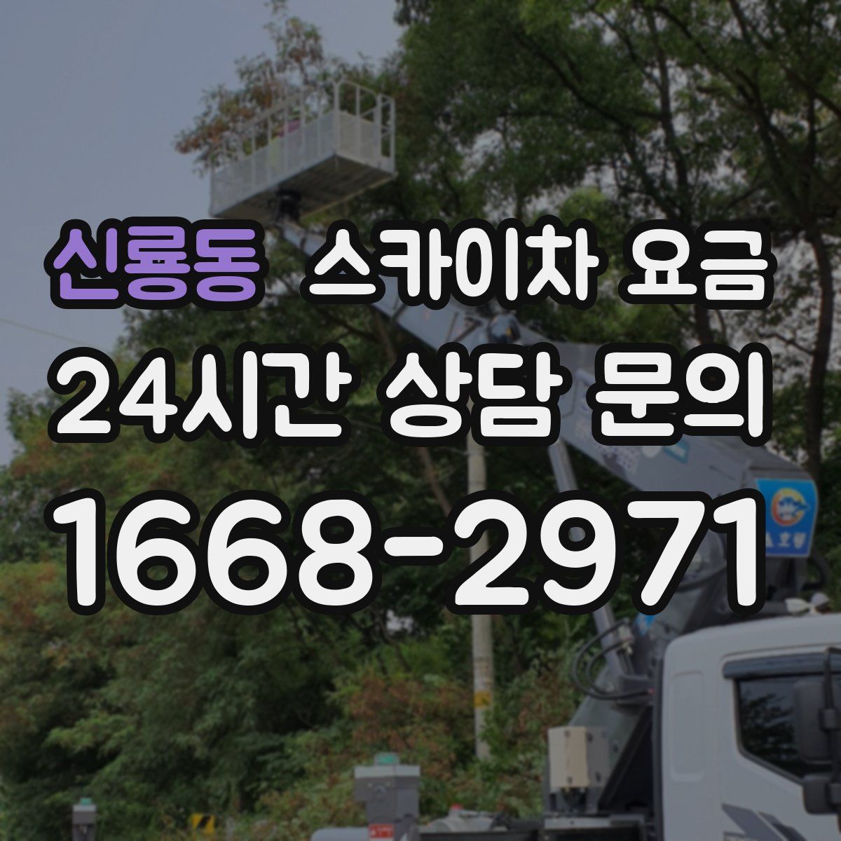 신룡동 스카이차 요금