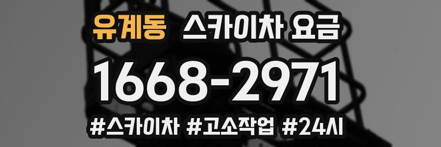 유계동 스카이차 요금