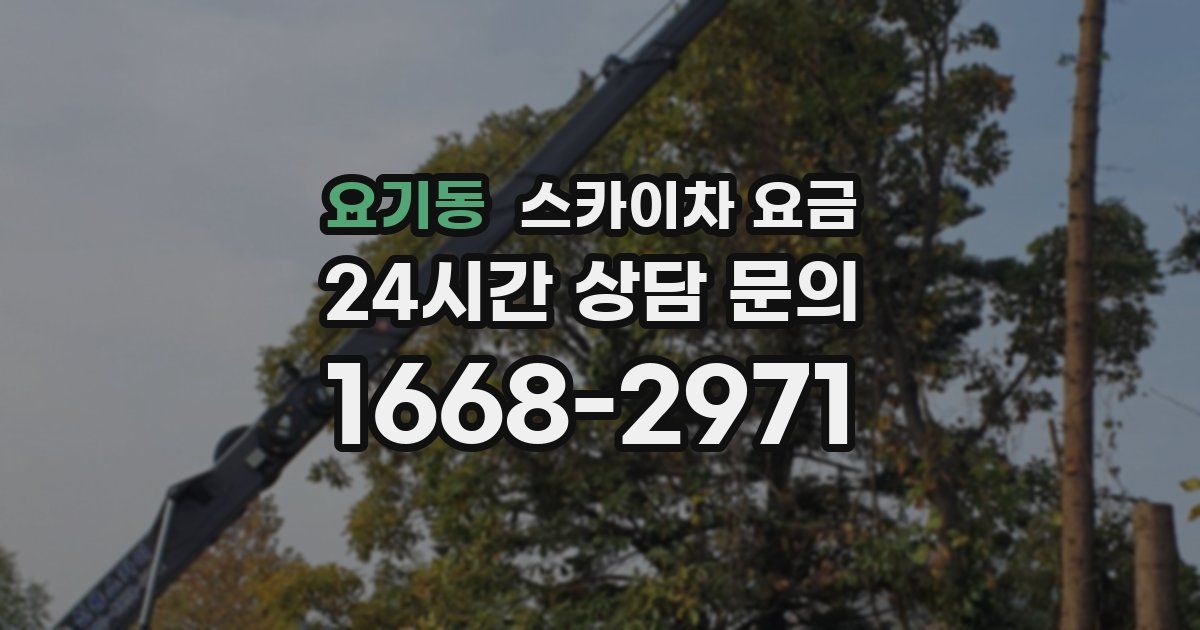 요기동 스카이차 요금