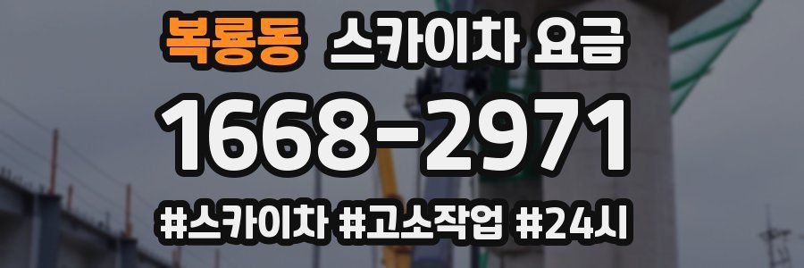 복룡동 스카이차 요금