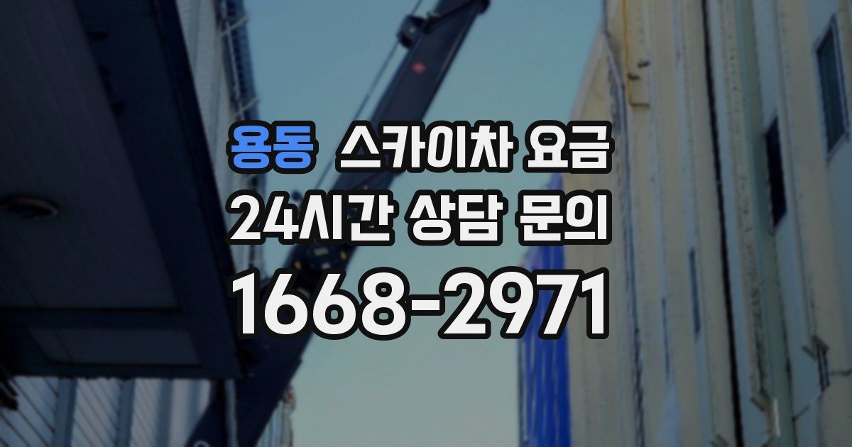 용동 스카이차 요금