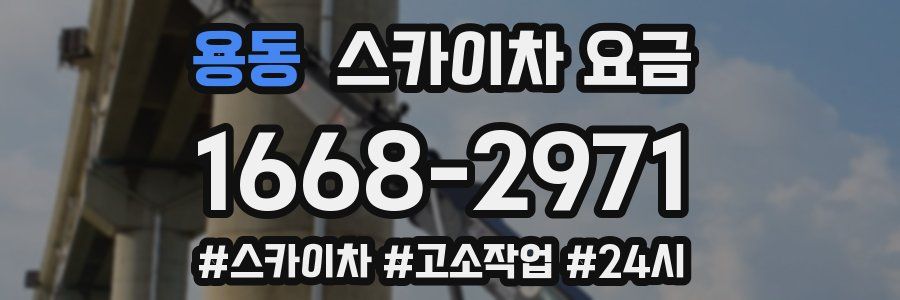용동 스카이차 요금