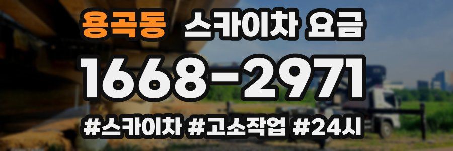 용곡동 스카이차 요금