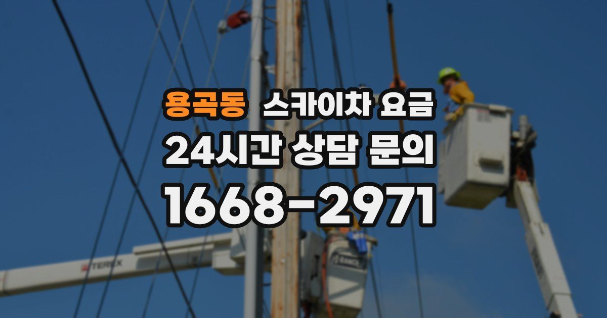용곡동 스카이차 요금