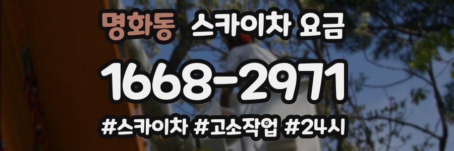명화동 스카이차 요금