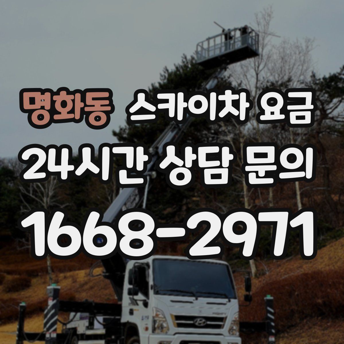 명화동 스카이차 요금