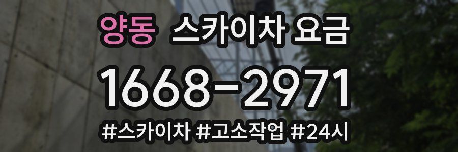 양동 스카이차 요금