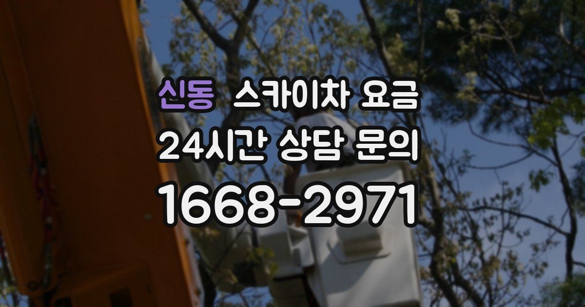 신동 스카이차 요금