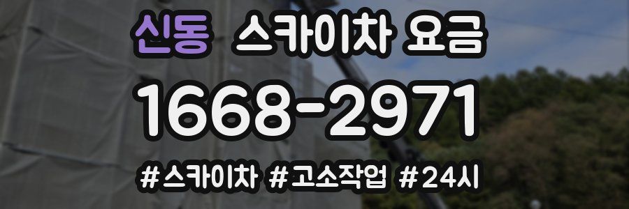신동 스카이차 요금