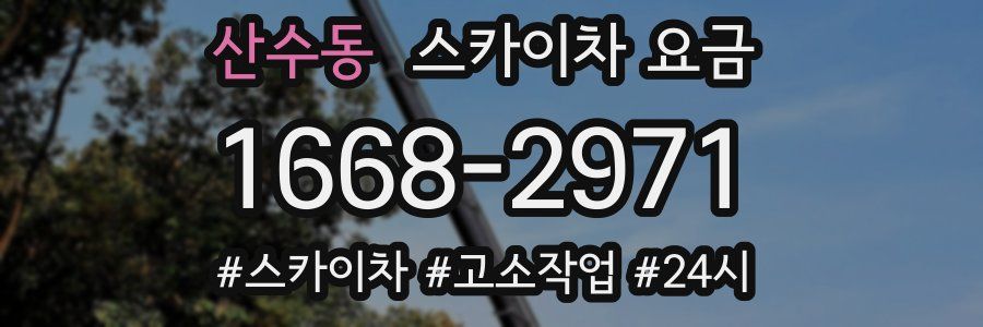 산수동 스카이차 요금