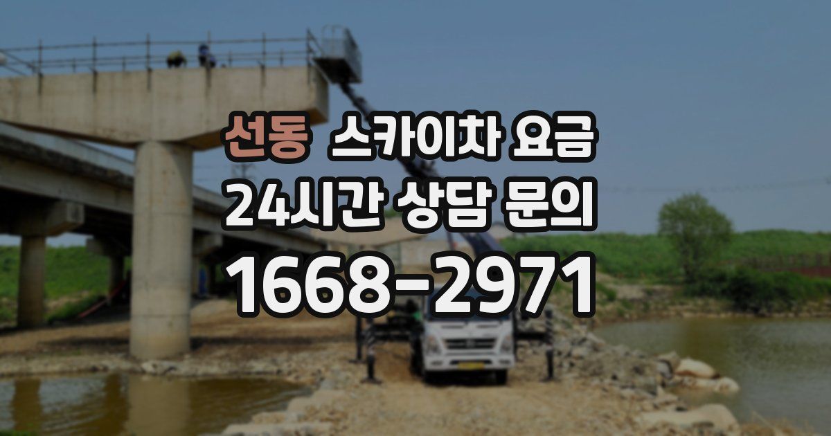 선동 스카이차 요금