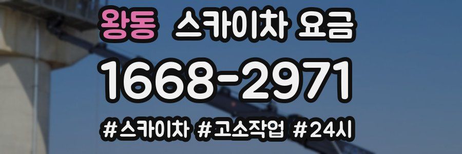 왕동 스카이차 요금