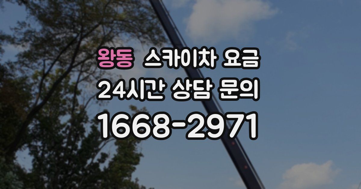 왕동 스카이차 요금